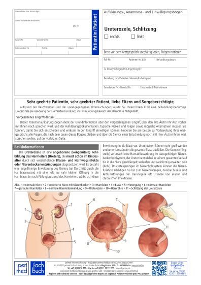 229062 Vorschau gross