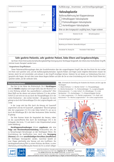 256488 Vorschau gross