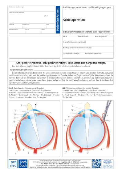 384 Vorschau gross