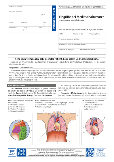 453 Vorschau gross